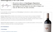 800-Apaltagua Signature 2013 mejor Cabernet Sauvignon Por La CAV